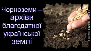 Чорноземи – архіви благодатної української землі