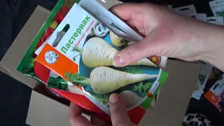 Семена для огорода кабачки свекла фасоль морковь часть 3