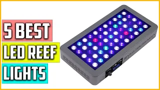 The 5 Best LED Reef Lights 2023 Reviews