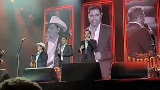 Amigos ao Vivo em São Paulo -  Show de  despedida   17/12/2023