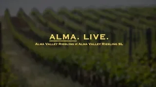 ALMA.Live - Alma Valley Riesling и Alma Valley Riesling SL