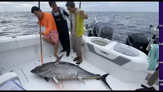 Invincible 40 Catamaran - 250lb Bluefin Tuna - Newport Beach, CA