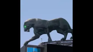 New mixed-reality Panther in the Stadium🔥😍