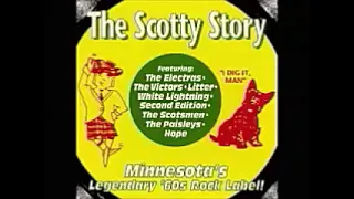 Various – The Scotty Story - Minnesota's Legendary '60s Rock Label! Garage Punk Psychedelic Music LP