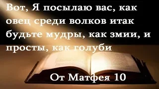 Вот, Я посылаю вас, как овец среди волков (От Матфея 10) - Да воскреснет Бог - TV 21