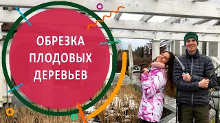 ОБРЕЗКА ПЛОДОВЫХ ДЕРЕВЬЕВ | Весенняя обрезка и обработка в саду с Алексеем Соловьёвым