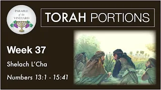 Torah Portions - Week 37 - Shelach - Numbers 13 -15  (2020-2021)