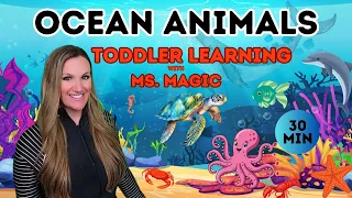 Ocean Animals For Kids | Sea Creatures | Toddler Learning | Sign Language English & Spanish | Songs