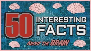 50 Interesting Facts about the Human Brain