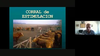 Ciclo de conferencias 2021 - Eficiencia reproductiva en rodeo de cría y el rol de los toros. FAVUNRC