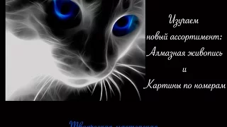 Новый привоз или изучаем ассортимент: алмазная живопись и картины по номерам!