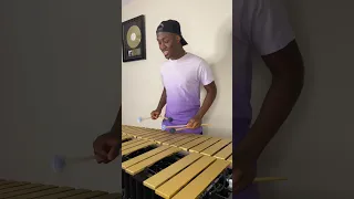 Evolution of Vibraphone (fall edition 2022)