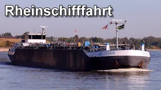 Schubverbände auf dem Rhein - Binnenschifffahrt - Niedrigwasser Sommer 2022