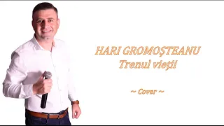 Hari Gromosteanu - Trenul vietii