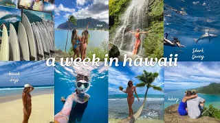 hawaii spring break vlog: shark diving, hikes, & new friends