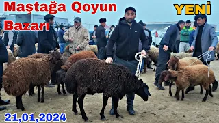 Maştağa Qoyun Bazarı 21 yanvar 2024 @mubarizemintv2271