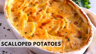 These SCALLOPED POTATOES are a must-try!