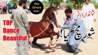 Excellent Horse Dance in Pakistan 2021 @HorseDanceClubOfficial