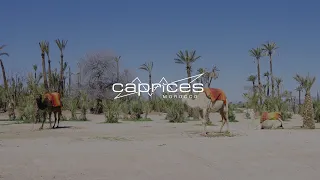 Caprices Festival MOROCCO (Marrakech) 2023 - Official Aftermovie