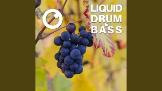 Liquid Drum & Bass Sessions 2020 Vol 15 (The Mix)