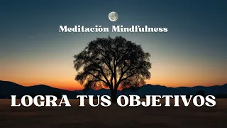 Meditación Guiada para Visualizar tus Objetivos | Ley de Atracción 15 Minutos 🦋