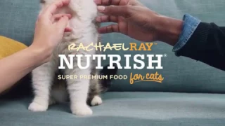 How to Date a Cat Person Episode 2 // Presented By BuzzFeed & Rachael Ray Nutrish