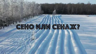 Сено или сенаж - выбираем!