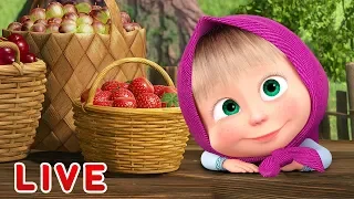 Masha and the Bear 🎬💥 LIVE STREAM 💥🎬 Cartoon live best episodes ☀️ Маша и Медведь прямой эфир