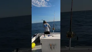 Giant Bluefin Tuna Hookup