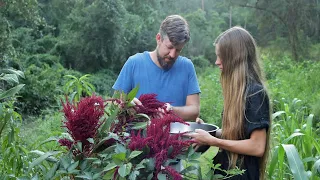 Harvesting Amaranth Seeds - Simple Seed Saving from a Wonderful Crop