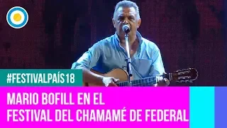 Festival País '18 - Mario Bofill en el Festival Nacional del Chamamé de Federal