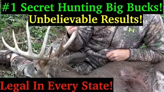 #1 Bowhunting Secret To Shoot Big Bucks! No Deer Bait!!!