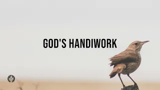 God's Handiwork | Audio Reading | Our Daily Bread Devotional | May 16, 2024