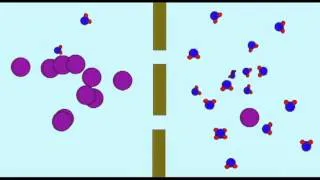 AP1: CELL MEMBRANE: OSMOSIS