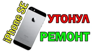 Ремонт iPhone SE после воды