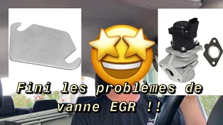 Problème de vanne EGR  j’ai la solution est ça marche !