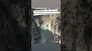 TranzAlpine Train Ride from Christchurch to Greymouth #holiday #newzealand #viral #video #mountain