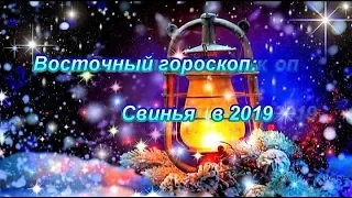 ВОСТОЧНЫЙ ГОРОСКОП 2019 - СВИНЬЯ