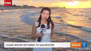 Clear water getting closer to Galveston again