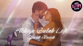 Akhiyan Gulab lofi | Slow + Revarb | love song