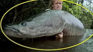 Best Cast Net Hunting Very Giant Fish! Best Amazing Fishing videos