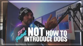 This Is Not How To Introduce Dogs! (Zak George Reaction)