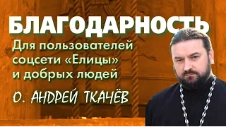 Благодарность пользователям соцсети "Елицы" о. Андрей Ткачев