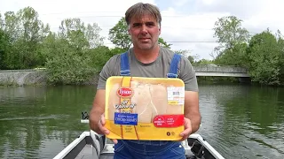 Using CHICKEN to catch CATFISH in Turkey Creek