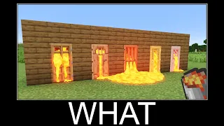 Minecraft wait what meme part 118 realistic lava vs doors #74