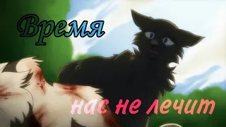 〖 Warrior Cats 〗『 Время нас не лечит 』| Кира Стертман