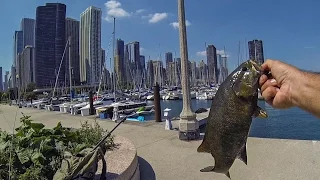 URBAN SMALLMOUTH BASS FISHING (CHICAGO HARBOR!) LAKE MICHIGAN FROM THE SHORELINE