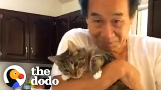 Woman’s Dad Who Didn’t Like Cats Changes His Mind Thanks To One Special Kitten | The Dodo