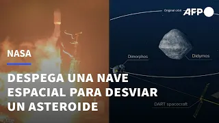 La NASA lanza una nave espacial para desviar un asteroide de su curso | AFP