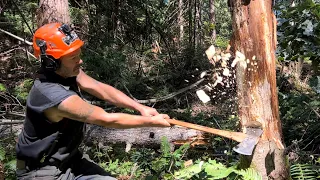 Chopping a tree down with an Axe